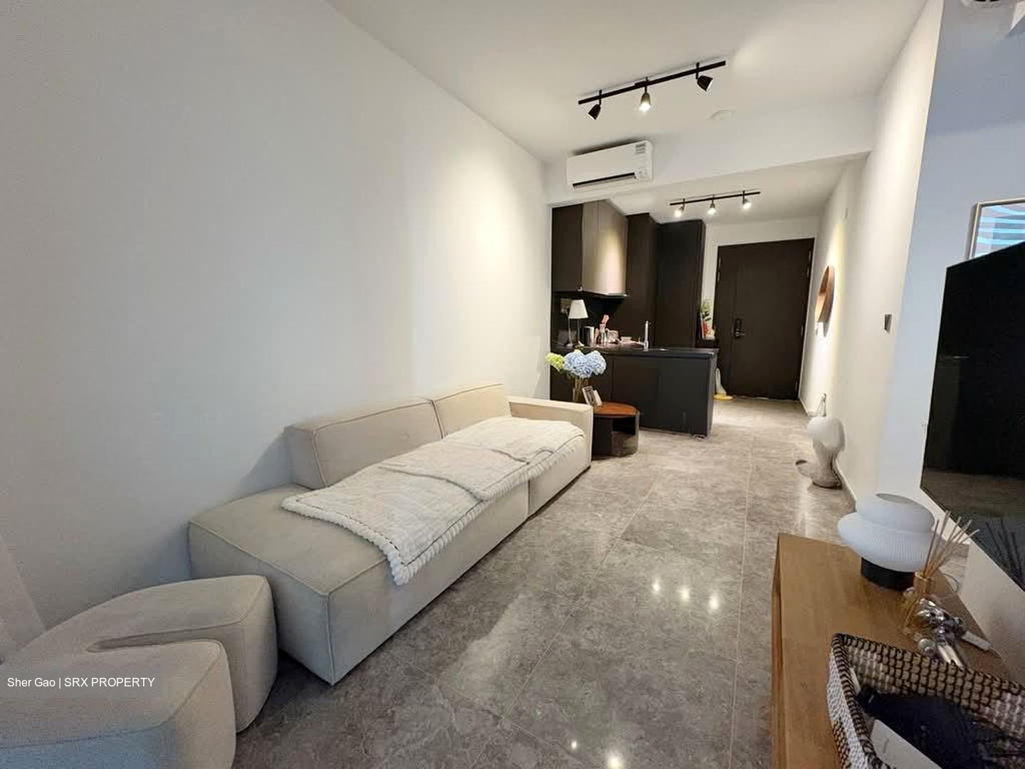 Hyll On Holland (D10), Condominium #545125111